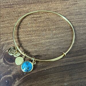 Alex and Ani March Birthstone Bracelet